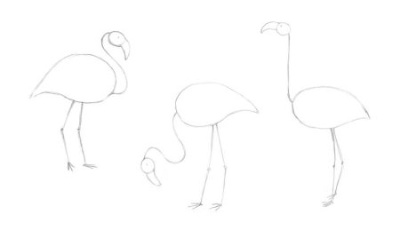 Поэтапное рисование Фламинго