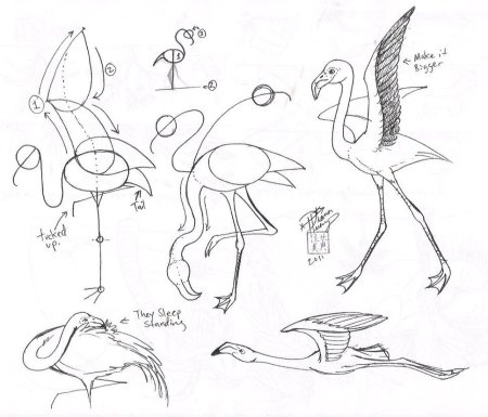 Как нарисовать Фламинго поэтапно