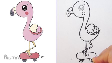 Как нарисовать Фламинго поэтапно