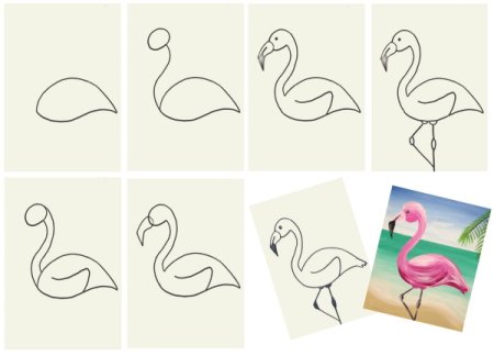 Фламинго поэтапно