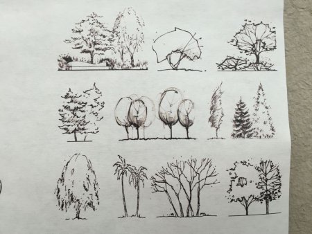 Антураж стаффаж кусты