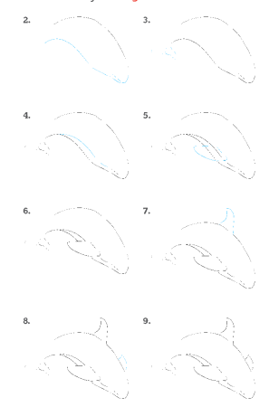 Касатка рисунок карандашом