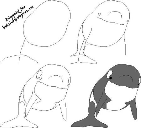 Кит поэтапное рисование