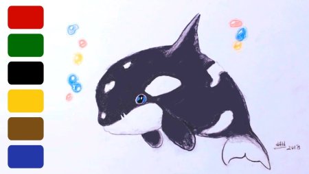 Пошаговое рисование кита