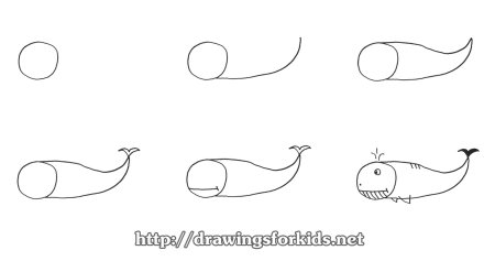 Рисование касатки пошагово