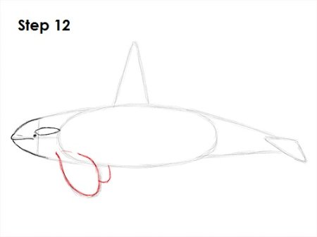 Кит поэтапное рисование