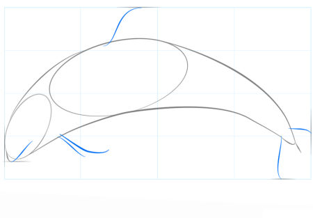 Поэтапное рисование дельфина