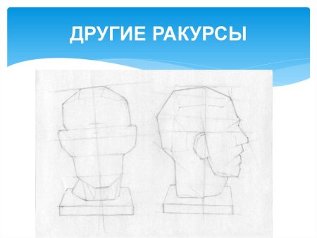 Рисунок голова по Гудону