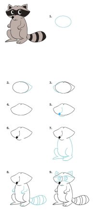 Поэтапное рисование енота