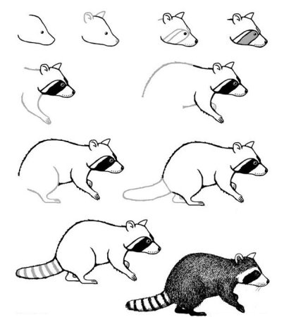 Как нарисовать енота