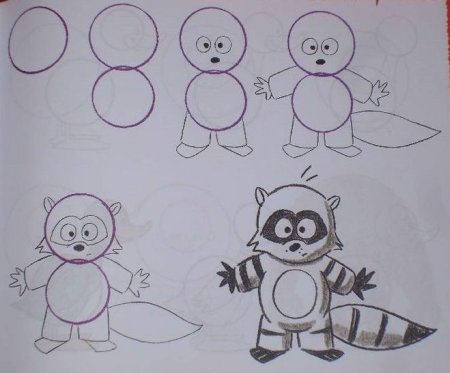 Как нарисовать енота ребенку