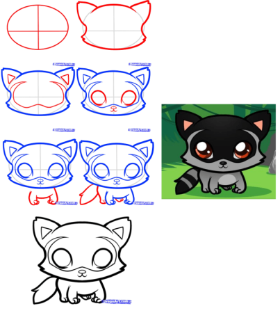 Схема рисования енота