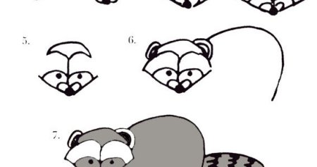 Как нарисовать енота поэтапно