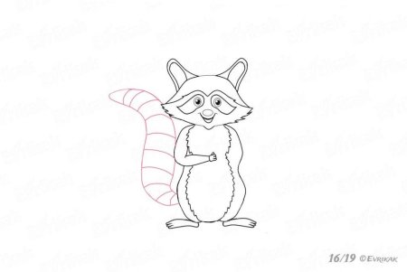 Нарисовать енотика плэтапно