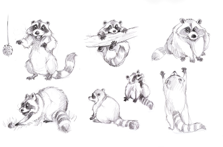 Панда рисунок карандашом легкий