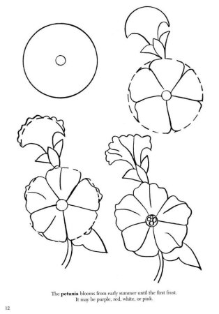 Цветы схема рисования