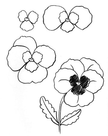 Раскраски Анютины глазки цветы