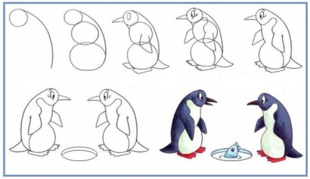 Поэтапное рисование пингвина