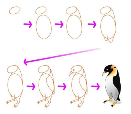 Поэтапное рисование пингвина