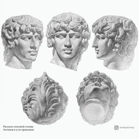 Гипсовая голова Антиноя МАРХИ