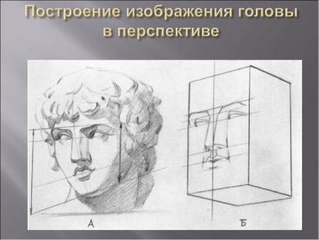 Голова в перспективе построение