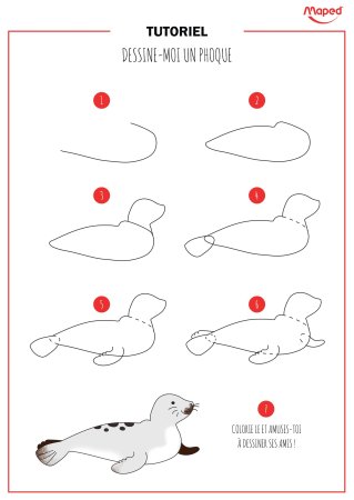 Морской котик поэтапное рисование