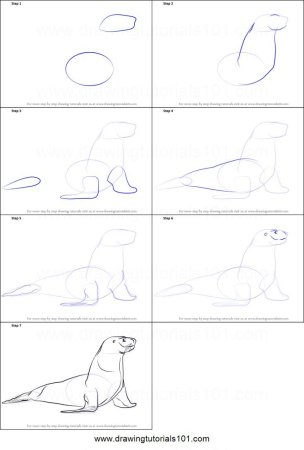 Рисование морж