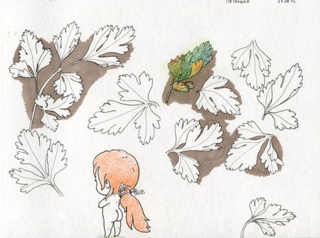 Поэтапное рисование петрушки