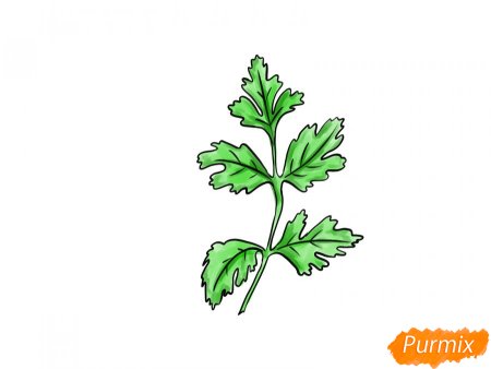 Петрушка рисунок