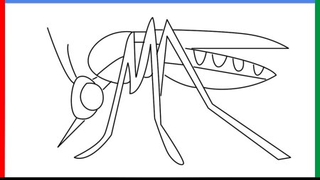 Нарисовать богомола поэтапно для детей