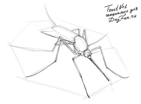 Комар рисовать поэтапно