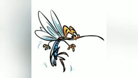 Комар биология