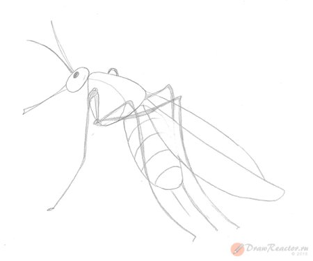 Комар легко