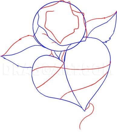 Поэтапное рисование розы для дошкольников