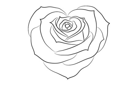 Роза рисунок пошагово