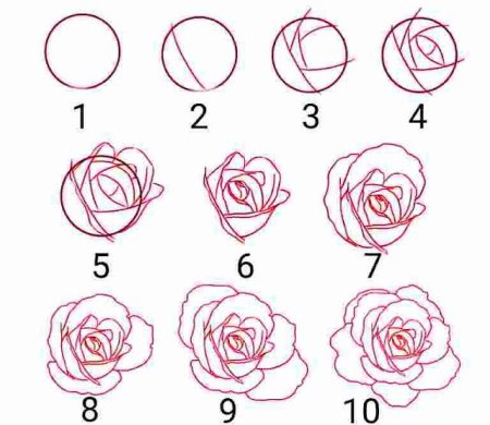 Схема рисования розы