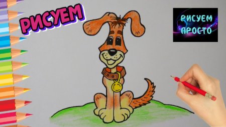 Собака шарик из Простоквашино нарисовать