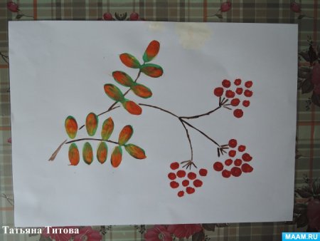 Рисование ветки средняя группа