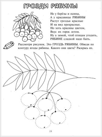Рисование листьев рябины