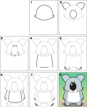 Пошаговый рисунок коалы