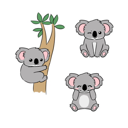 Коала анатомия для рисования