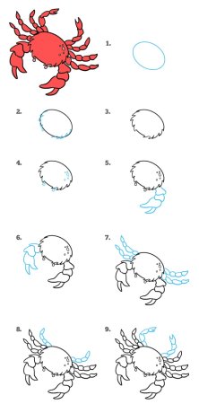 Краб рисунок для детей карандашом