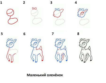 Поэтапный рисунок оленя
