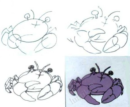 Поэтапное рисование краба