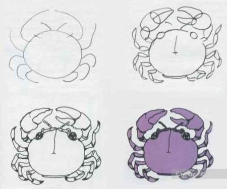 Рисунок краба 7 класс