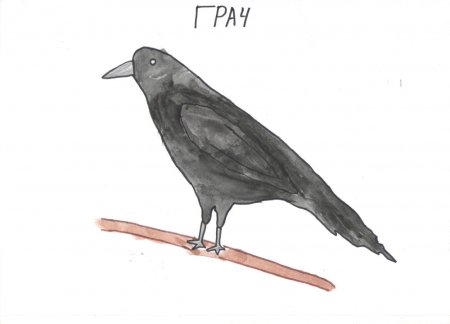 Рисование Грача