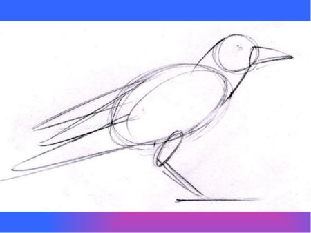 Рисование Грача