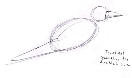 Нарисовать Грача карандашом поэтапно