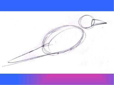 Схема рисования Грача