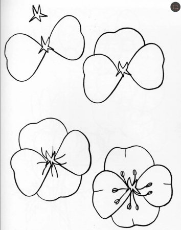 Этапы рисования цветов для детей